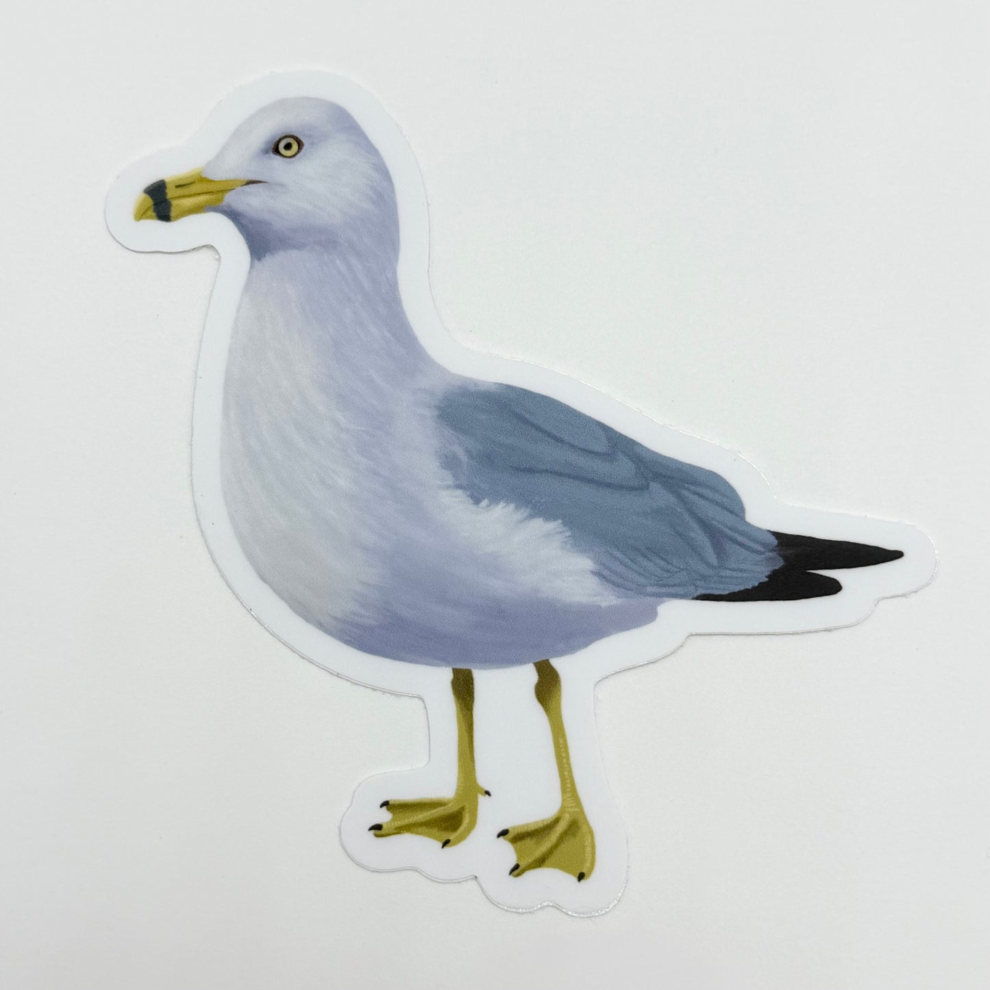Seagull Vinyl Sticker