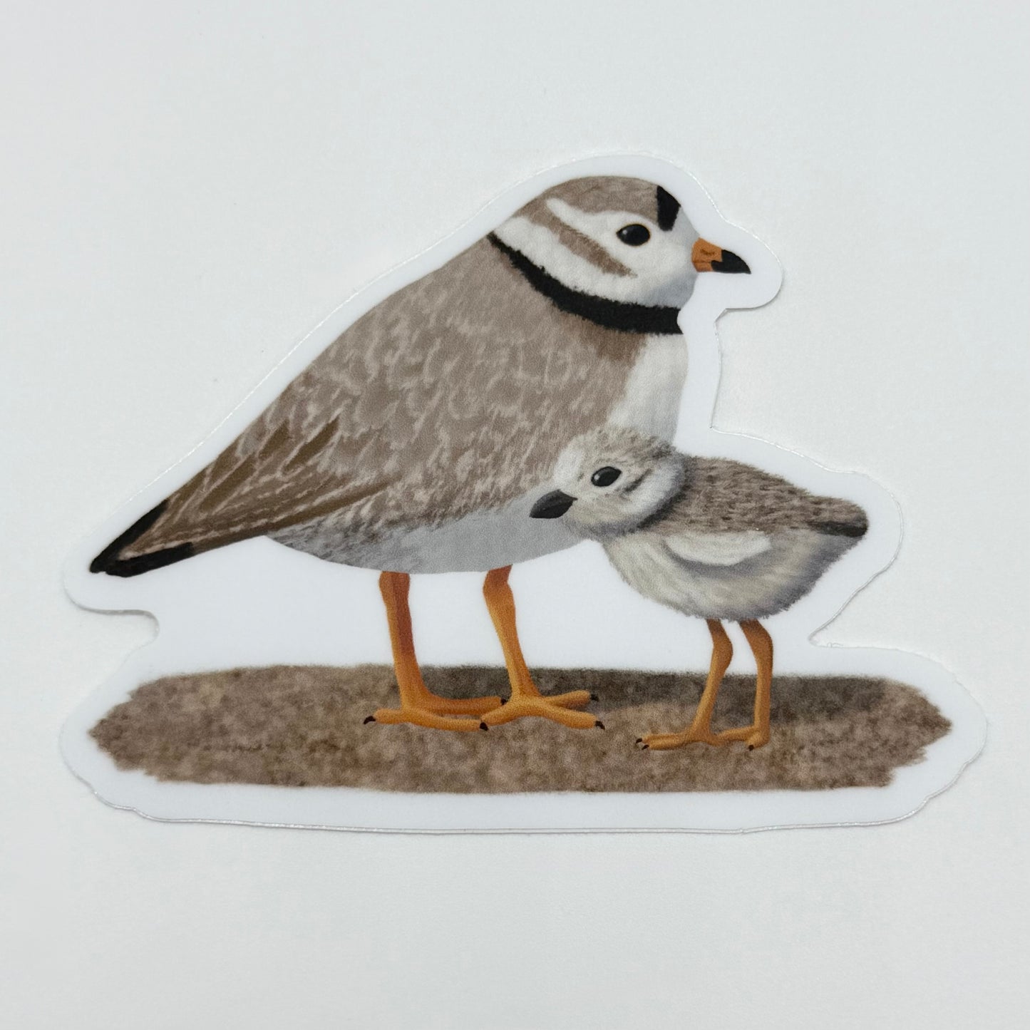 Piping Plover Vinyl Sticker