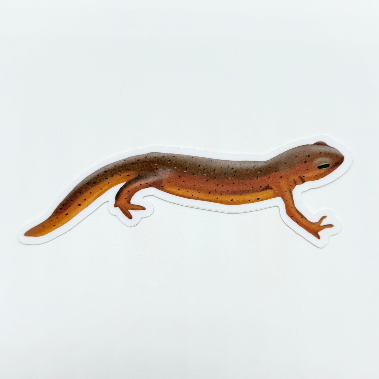 Red Eft Newt Vinyl Sticker