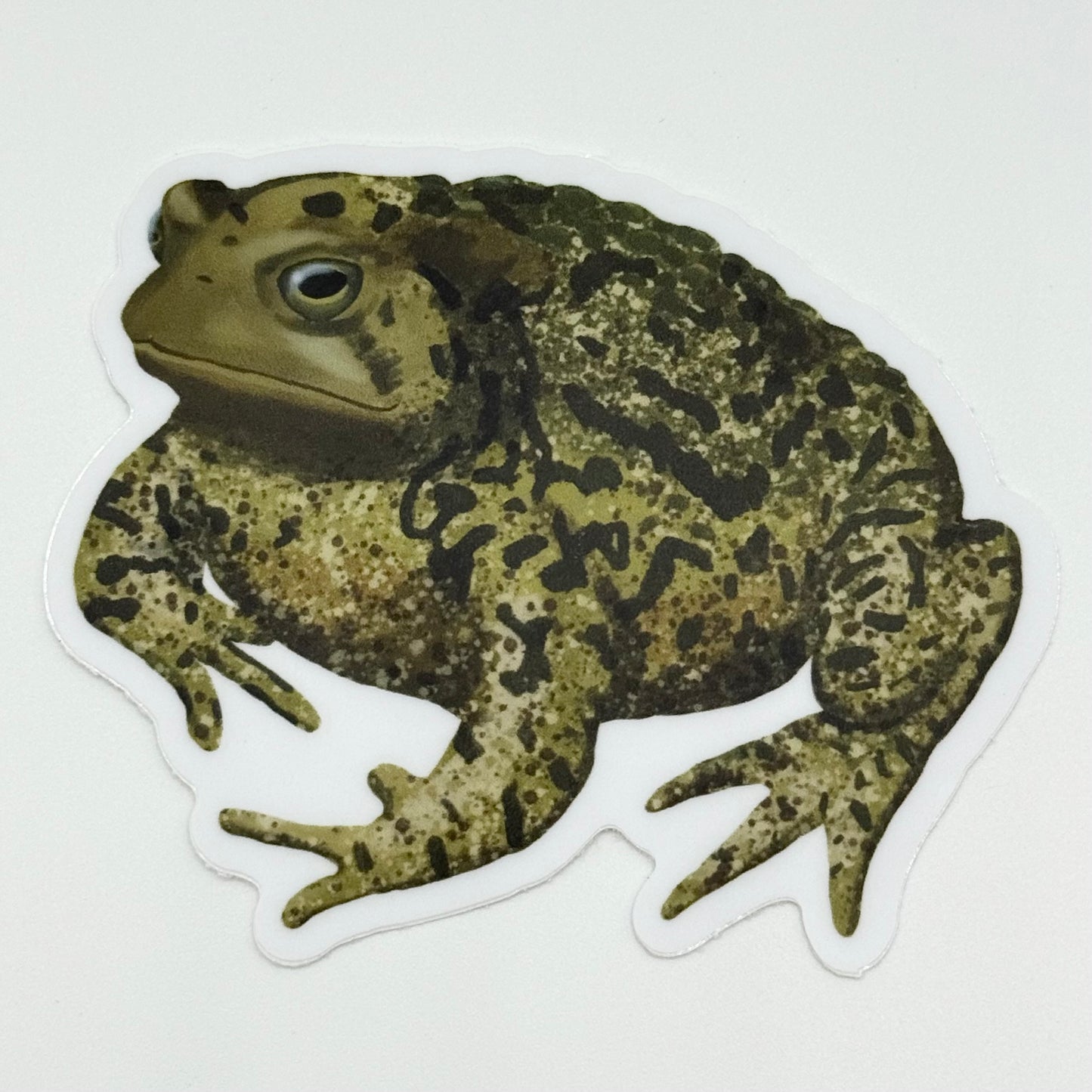 Toad Vinyl Sticker