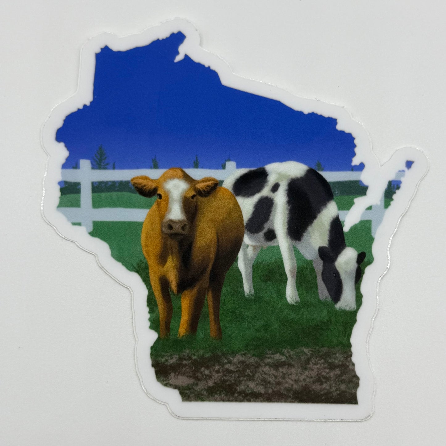 Wisconsin Cows Vinyl Sticker