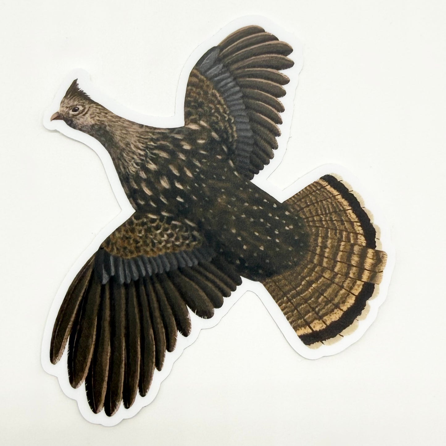 Ruffed Grouse Vinyl Sticker