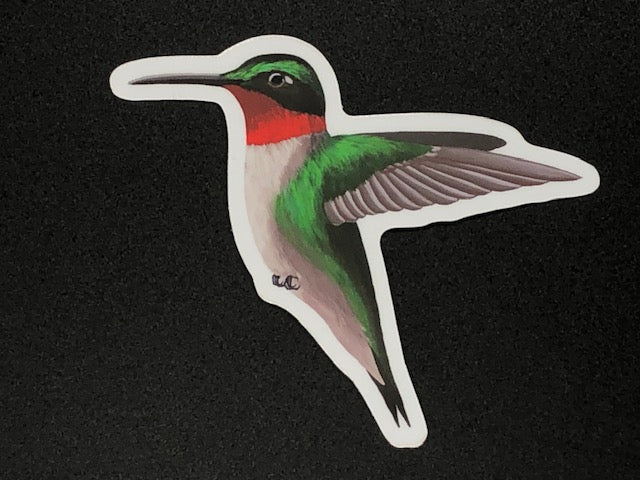 Hummingbird Vinyl Sticker