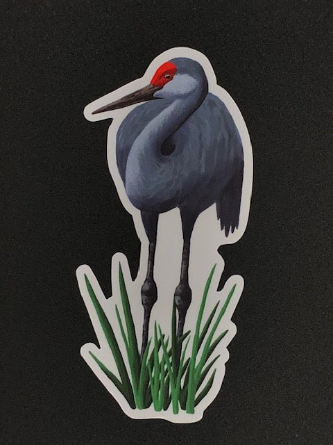 Sandhill Crane Vinyl Sticker