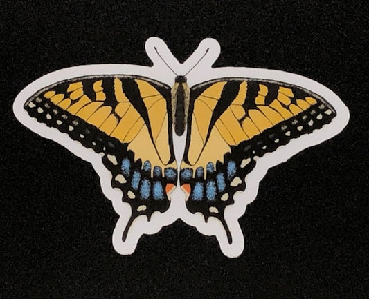 Eastern Swallowtail Butterfly Vinyl Sticker