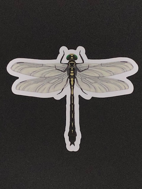 Dragonfly Vinyl Sticker