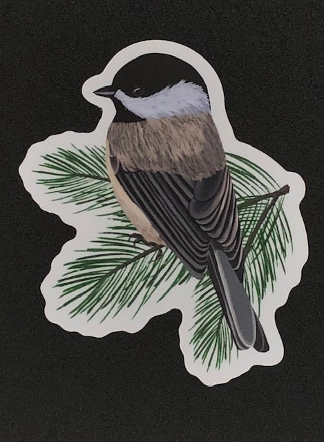 Chickadee Vinyl Sticker