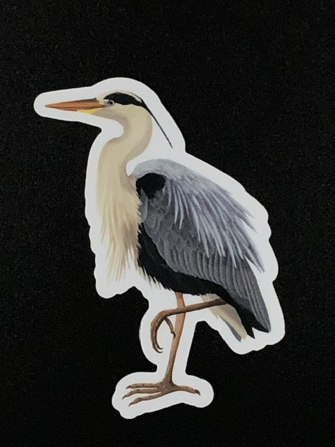 Blue Heron Vinyl Sticker