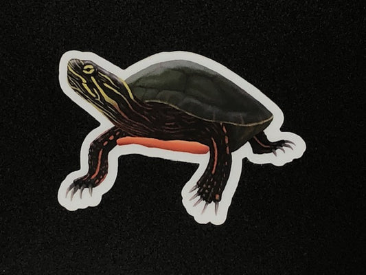 Painted Turtle Vinyl Sticker