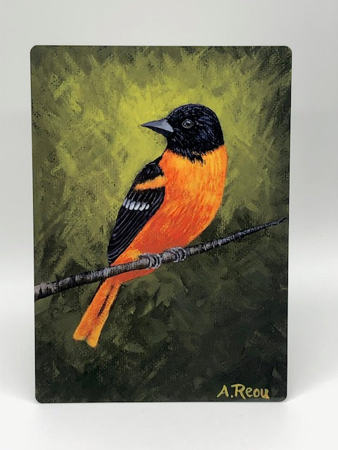 5x7 Metal Print Baltimore Oriole