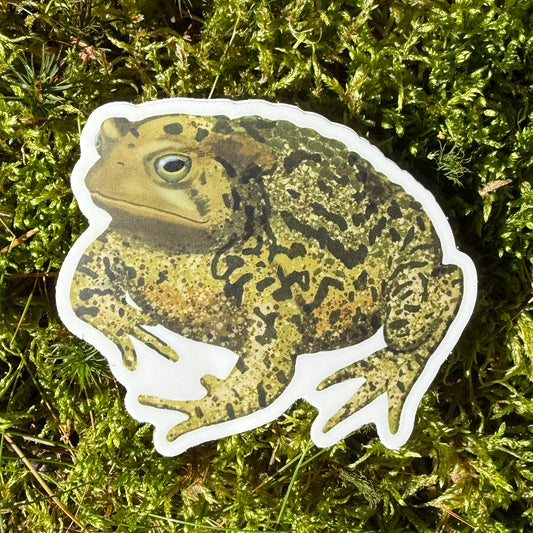 Toad Vinyl Sticker