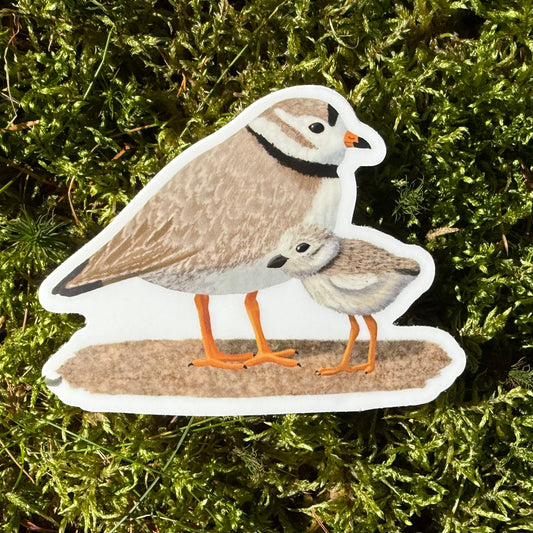 Piping Plover Vinyl Sticker