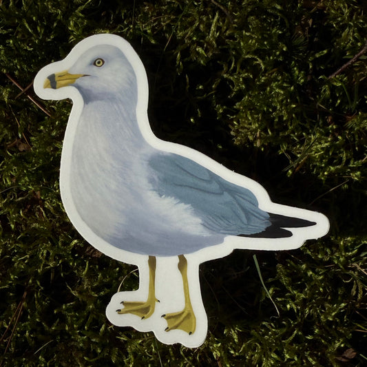 Seagull Vinyl Sticker