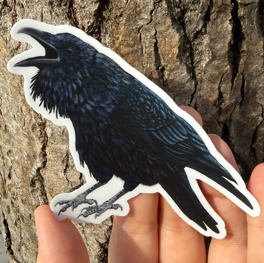 Raven Vinyl Sticker