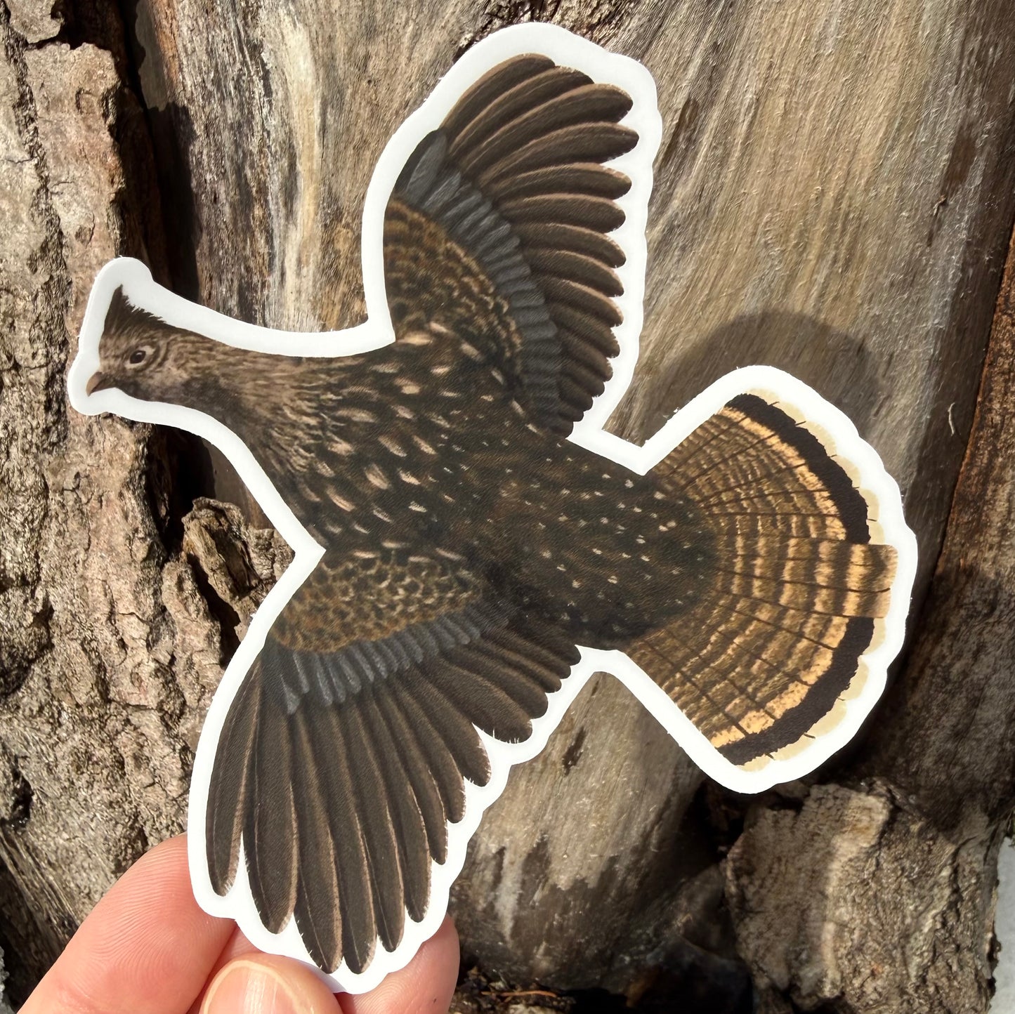 Ruffed Grouse Vinyl Sticker