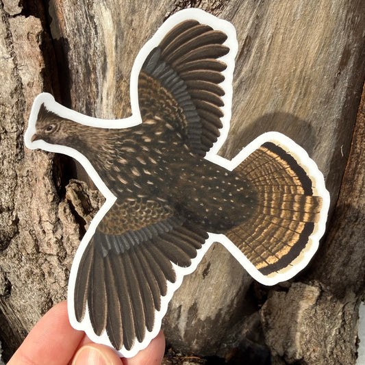 Ruffed Grouse Vinyl Sticker