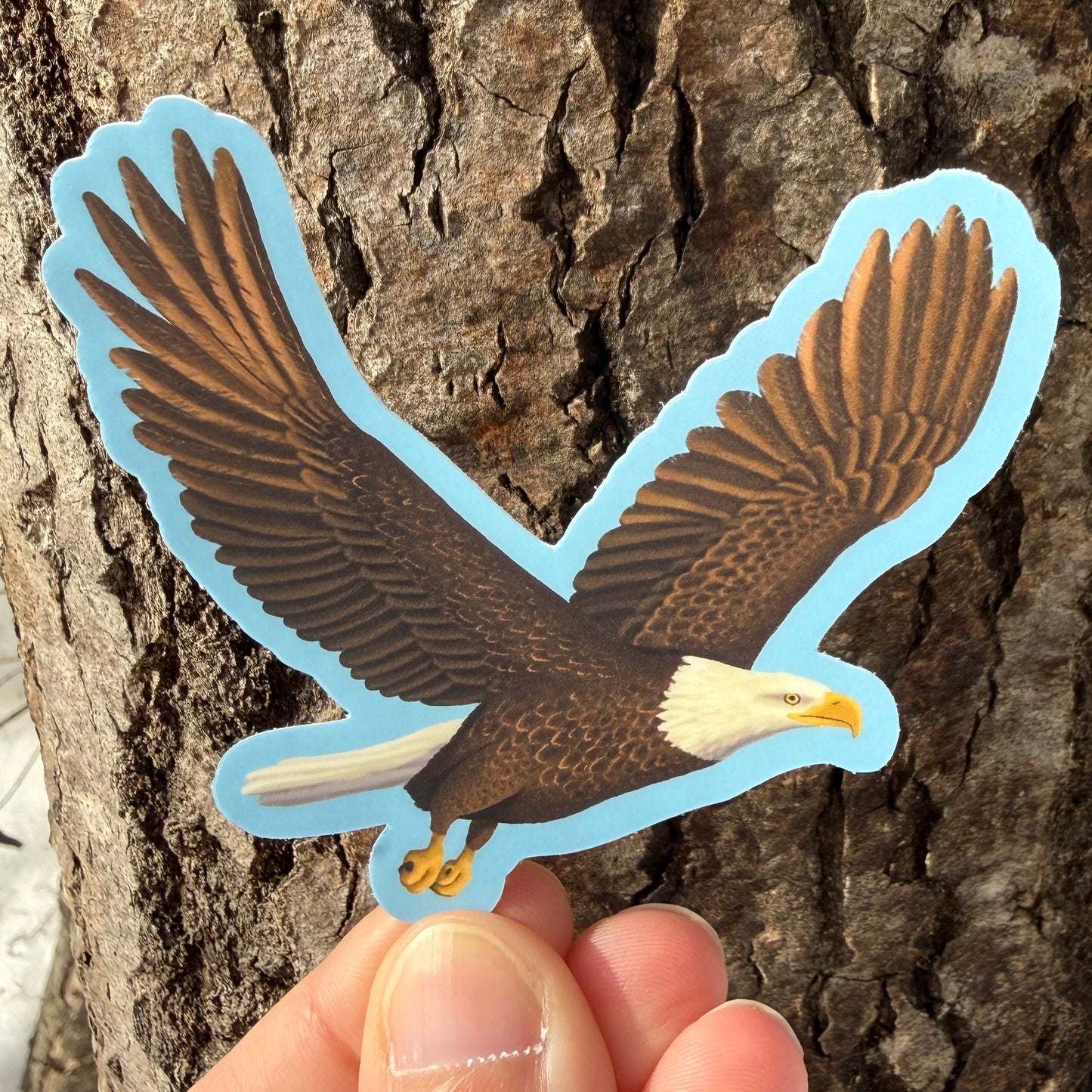 Eagle Vinyl Sticker