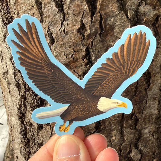 Eagle Vinyl Sticker