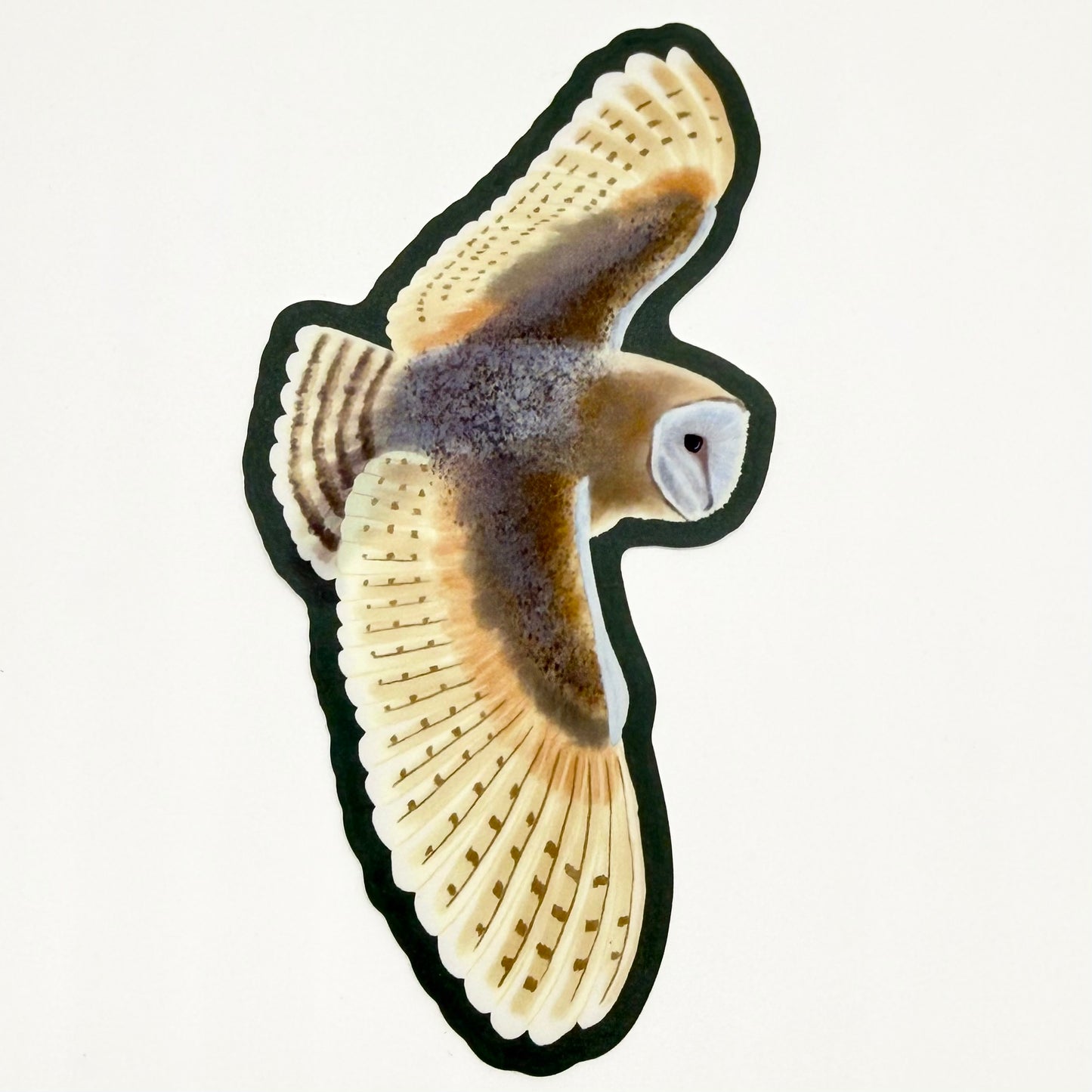 Barn Owl Vinyl Sticker